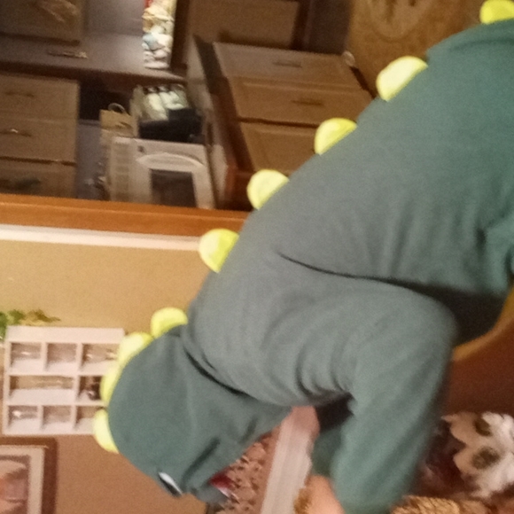 Tyrannosaurus Rex pajamas or Halloween costume - Picture 6 of 17